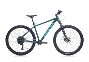 Bianchi 29J Magma 29 Jant 10 Vites Dağ Bisikleti Mat Yeşil