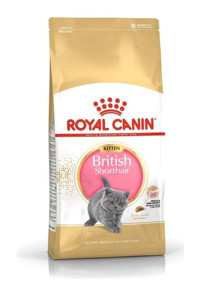 Royal British Shorthair Yavru Kedi Maması 2 kg