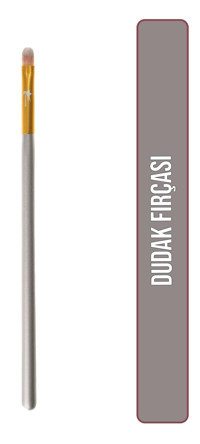 Demstar Champagne No:23 Dudak Fırçası