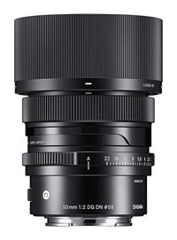 Sigma DG DN Art 50 mm f/2 Macro Lens