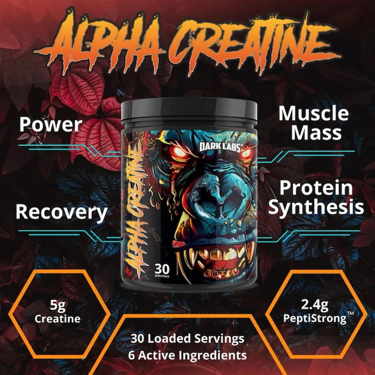 Dark Alpha Creatine Toz Kreatin 480 gr