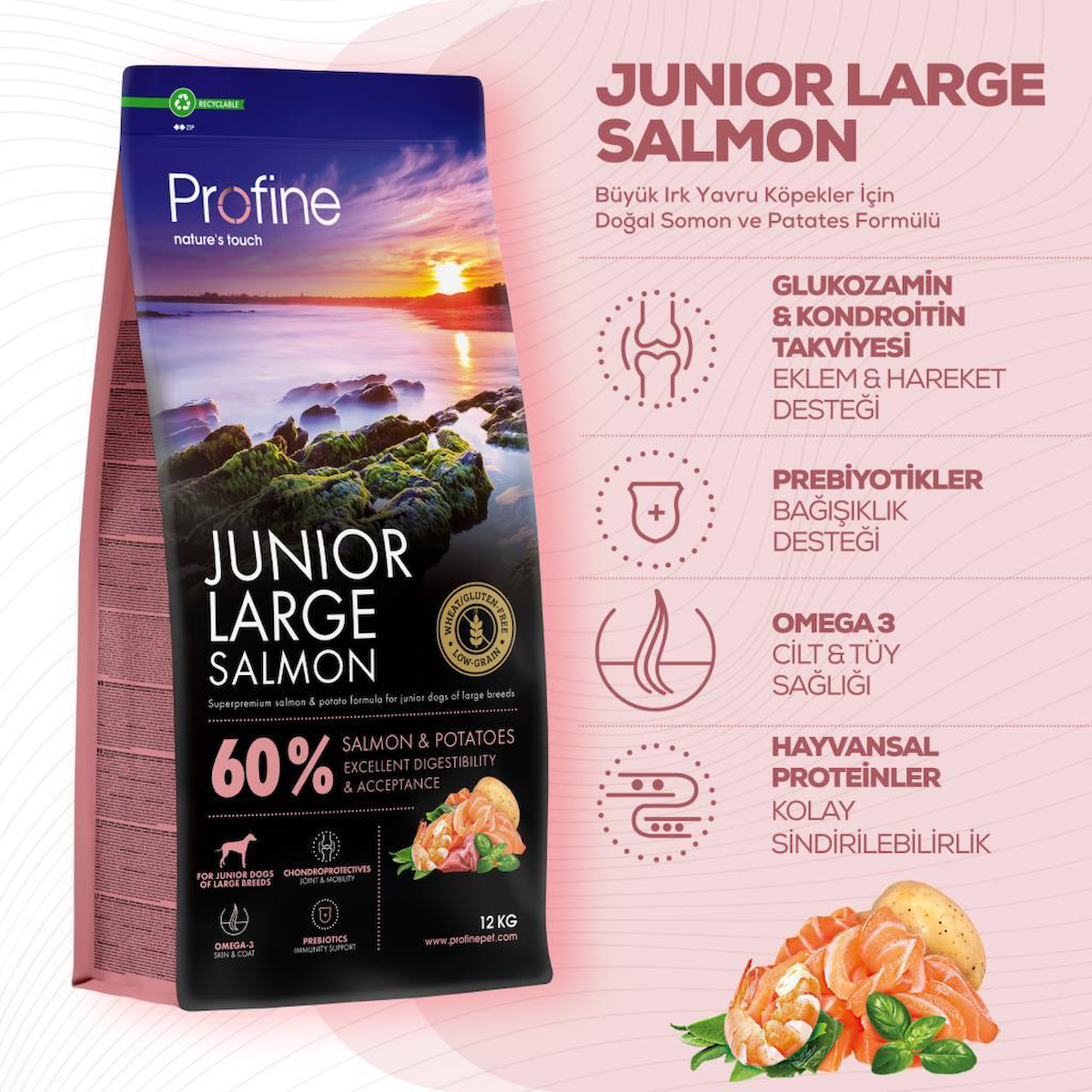 Profine Junior Large Glutensiz Somonlu Büyük Irk Yavru Köpek Maması 12 kg