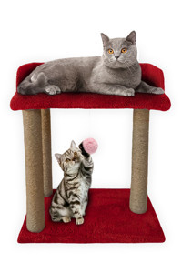 Patiderm Oturaklı Oyuncaklı Katlı 58 cm Kedi Tırmalama Tahtası