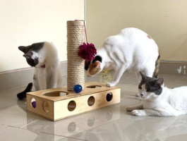 Nursoft Nr-0052 Oyuncaklı 36.5 cm Kedi Tırmalama Direği
