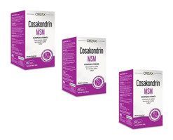 Orzax Msm Glukozamin 3x30 Tablet