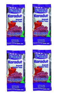 Poli Karadut Aromalı İçecek Tozları 4x300 gr