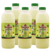 Nartalya Dondurulmuş Pet Limonata 5x900 ml