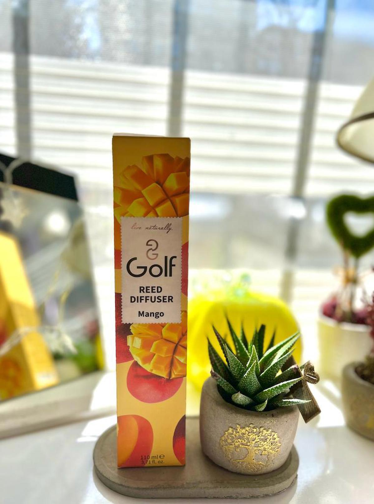 RUMEDİQUE PHARMA Çubuklu Mango Oda Kokusu 110 ml