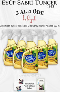 Eyüp Sabri Tuncer Yeni Nesil Ananas-Pamuk Oda Kokusu 6x500 ml