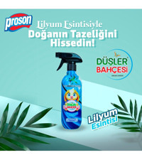 Proson Düşler Bahçesi Lilyum Oda Kokusu 450 ml