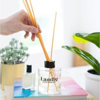 Landle Çubuklu Elma Oda Kokusu 120 ml