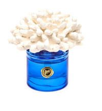 Missi Home Mercan Seramik Taşlı Ocean Breeze Okyanus Esintisi Oda Kokusu 500 ml
