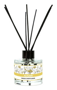 Air Scent Çubuklu Mango Oda Kokusu 100 ml