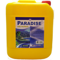 Paradise Aşk İksiri Aşk Oda Kokusu 5 lt