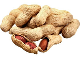 Qavruq Kuruyemiş Kabuklu Tuzsuz Kavrulmuş Yer Fıstığı 1 kg