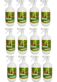 Begonwil Çok Amaçlı Temizleyici 12x1 lt
