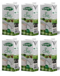 Güney Yağlı Laktozlu Sade İnek Süt 6x1 lt