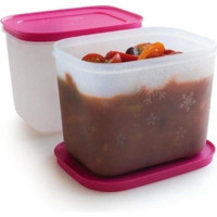 Tupperware Alaska Kare Plastik Saklama Kabı 2'lix450 ml