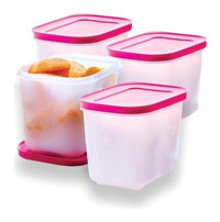 Tupperware Alaska Kare Plastik Saklama Kabı 4'lüx1.1 lt