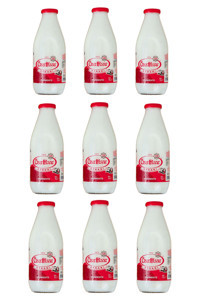 Özerhisar 9x1 lt Ayran