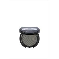 Flormar Monosteel Grey No:10 Toz Mat Tekli Far Gri