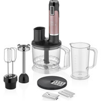NG Home Retro Plus Multi 800 ml Plastik Turbolu Çift Bıçaklı 4'lü Büyük Blender Seti Rose Gold