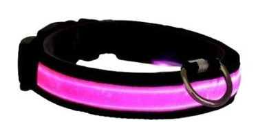 Petzz Düz Güvenlikli Pembe Fosforlu Ayarlanabilir Gezdirme Boyun Kedi Tasması