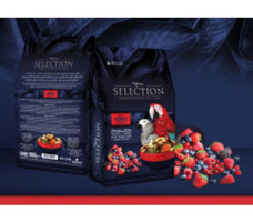 Myyem Kabuklu Meyveli Vitaminli Papağan Yemi 750 gr
