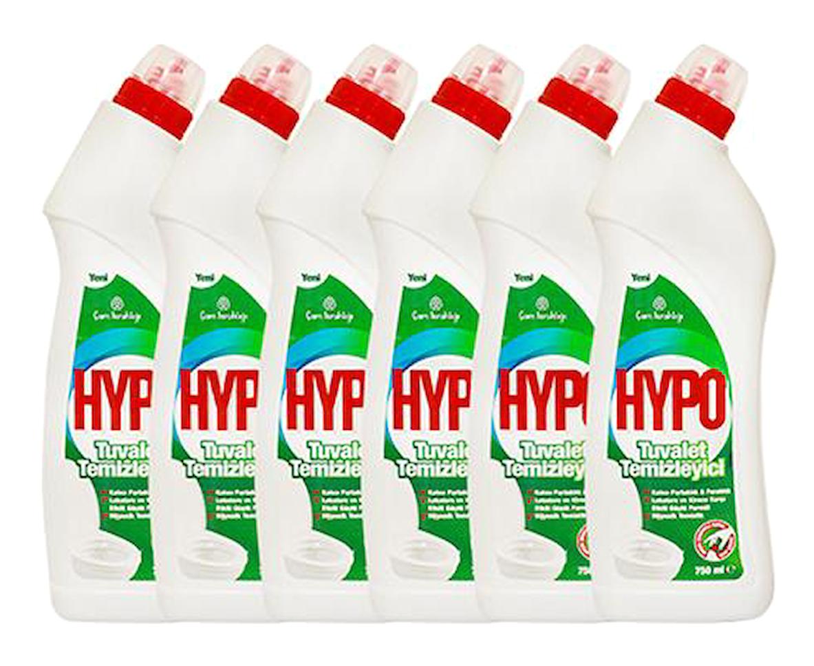 Hypo Çam Ferahlığı Tuvalet Temizleyici 6x750 ml