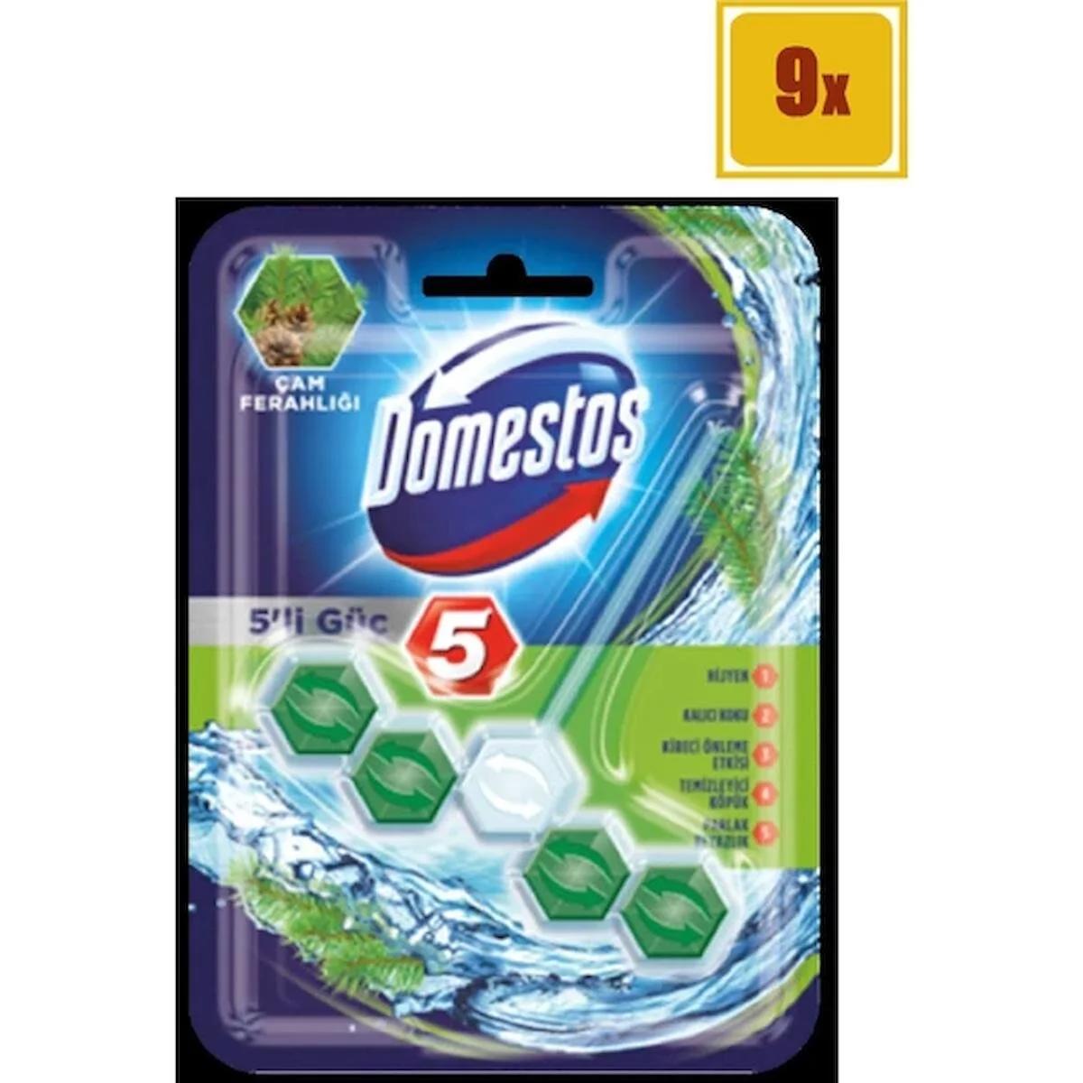 Domestos 5'li Güç Çam Ferahlığı Klozet Bloğu 9x55 gr