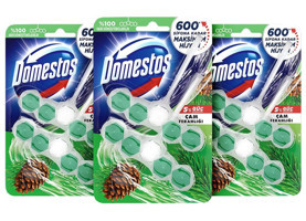 Domestos 5'li Güç Çam Ferahlığı Klozet Bloğu 3x100 gr