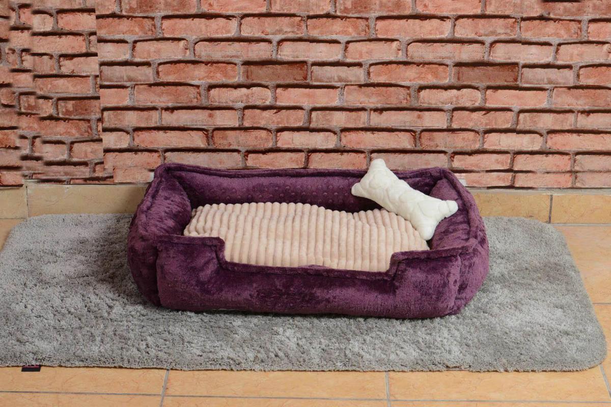 Cookie Pet Yıkanabilen Tek Fonksiyonlu 70x50 cm Minder Kedi Yatağı Mürdüm