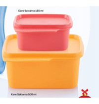 Tupperware Buzdolabı Dikdörtgen Plastik Saklama Kabı 2x160 ml-500 ml