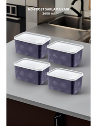 Smartware Dikdörtgen Plastik Saklama Kabı 4x2.6 lt