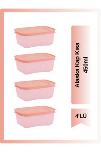 Tupperware Dikdörtgen Plastik Saklama Kabı 4x450 ml