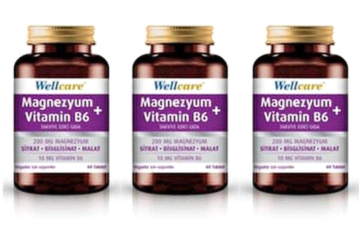 Wellcare Magnezyum + Vitamin B6 Vitamin 3x60 Tablet