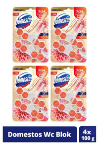 Domestos Yıldız Çiçeği & Ejder Meyvesi Tuvalet Temizleyici 4x100 gr