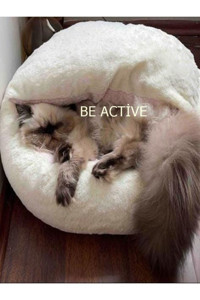 Be Active Afrodit S Peluş Tek Fonksiyonlu 50 cm Simit Kedi Yatağı Bej