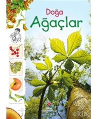 Doğa-Ağaçlar - Laura Howell - Tübitak Yayınları