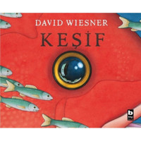 Keşif - David Wiesner - Bilgi Yayınevi