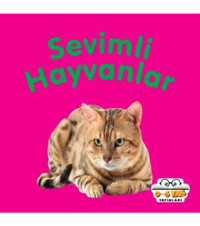 Gece Kitaplığı Sevimli Hayvanlar - Mini Karton Kitaplar