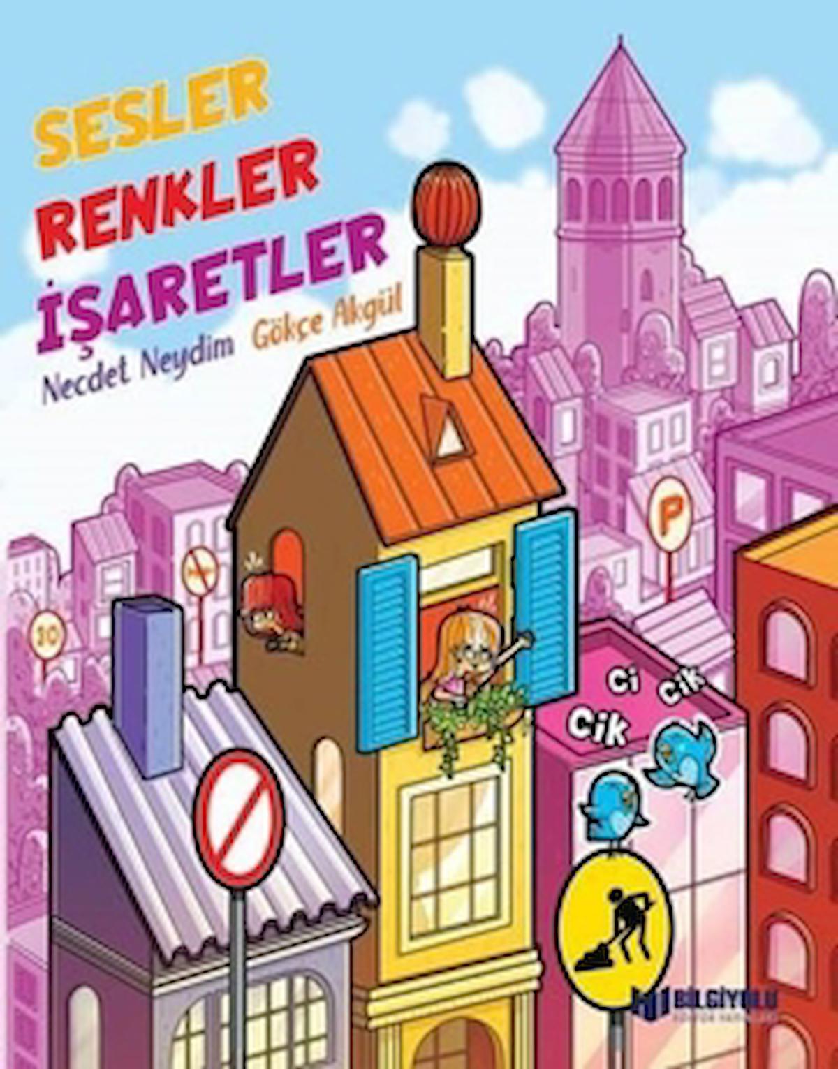 Sesler Renkler İşaretler / Necdet Neydim / Bilgiyolu Kültür Yayınları / 9786257186186