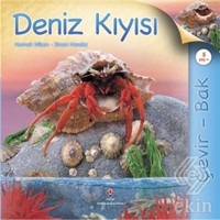 Çevir Bak Deniz Kıyısı - Simon Mendez - Hannah Wilson - Tübitak Yayınları