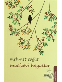 Mucizevi Hayatlar - Mehmet Söğüt - Sınırsız Kitap