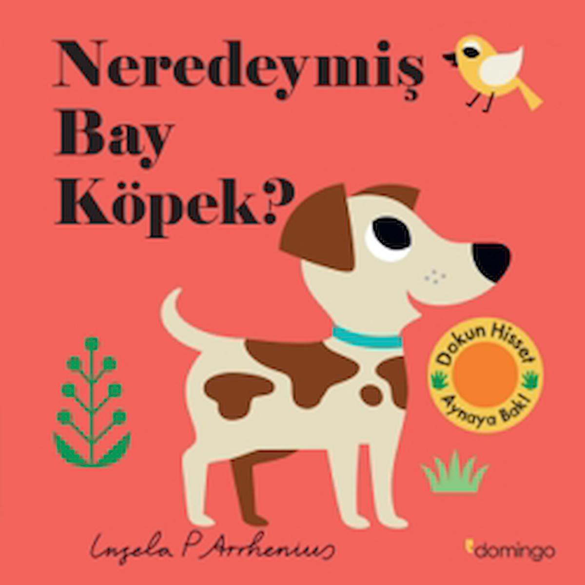 Neredeymiş Bay Köpek? / Kolektif / Domingo Yayınevi / 9786051982809 / Ciltli