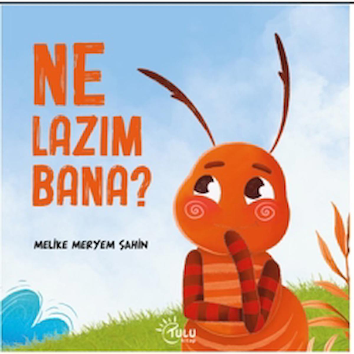 Ne Lazım Bana / Melike Meryem Şahin / Tulu Kitap / 9786259924359