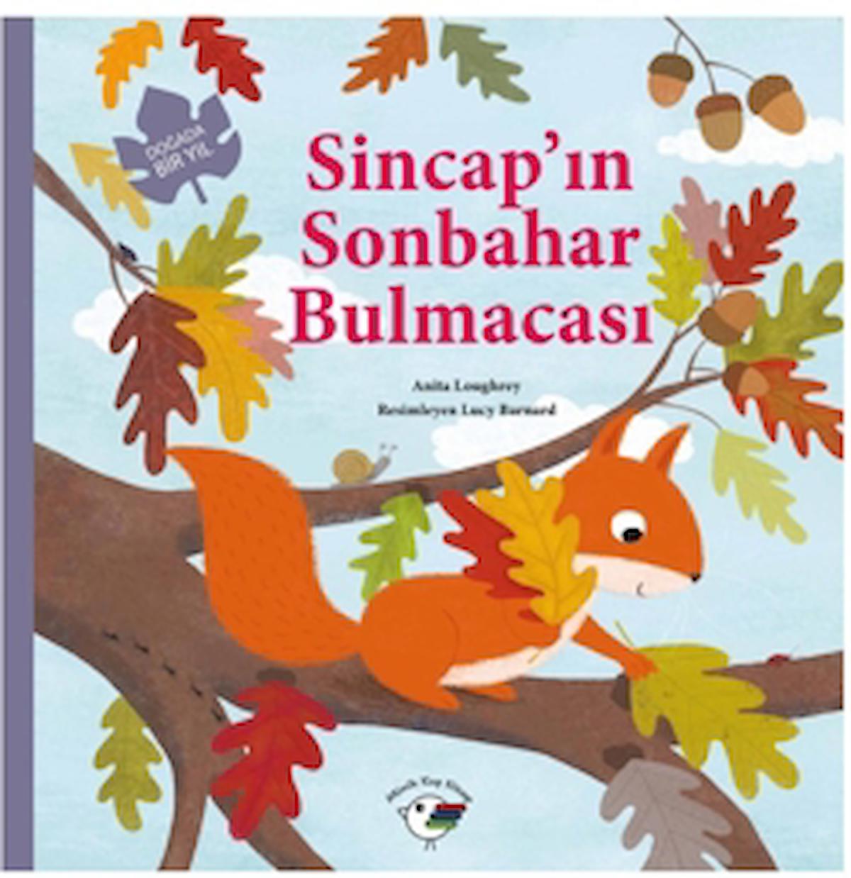 Sincap’ın Sonbahar Bulmacası – Doğada Bir Yıl / Anita Loughrey / Minik Kuş Kitap / 9786259986845
