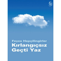 Kırlangıçsız Geçti Yaz - Feyza Hepçilingirler - Everest Yayınları