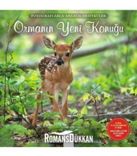 1001 Çiçek Kitaplar Ormanın Yeni Konuğu kitabı - Carl R. Sams II & Jean Stoick - 1001 Çiçek Kitaplar
