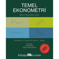 Temel Ekonometri-Ekonomik Baskı - Damodar N. Gujarati - Literatür Yayıncılık
